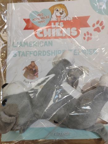 Mes adorables amis les chiens 15