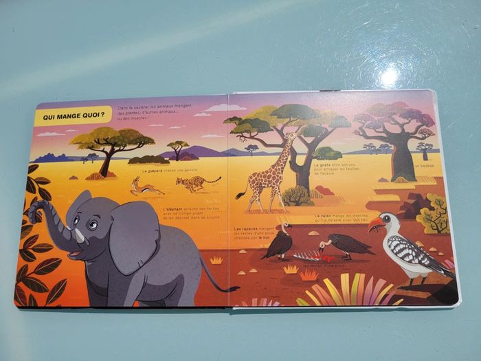 Livre animé Doc flap 🦒 Les animaux de La Savane africaine 🦏 - photo numéro 8