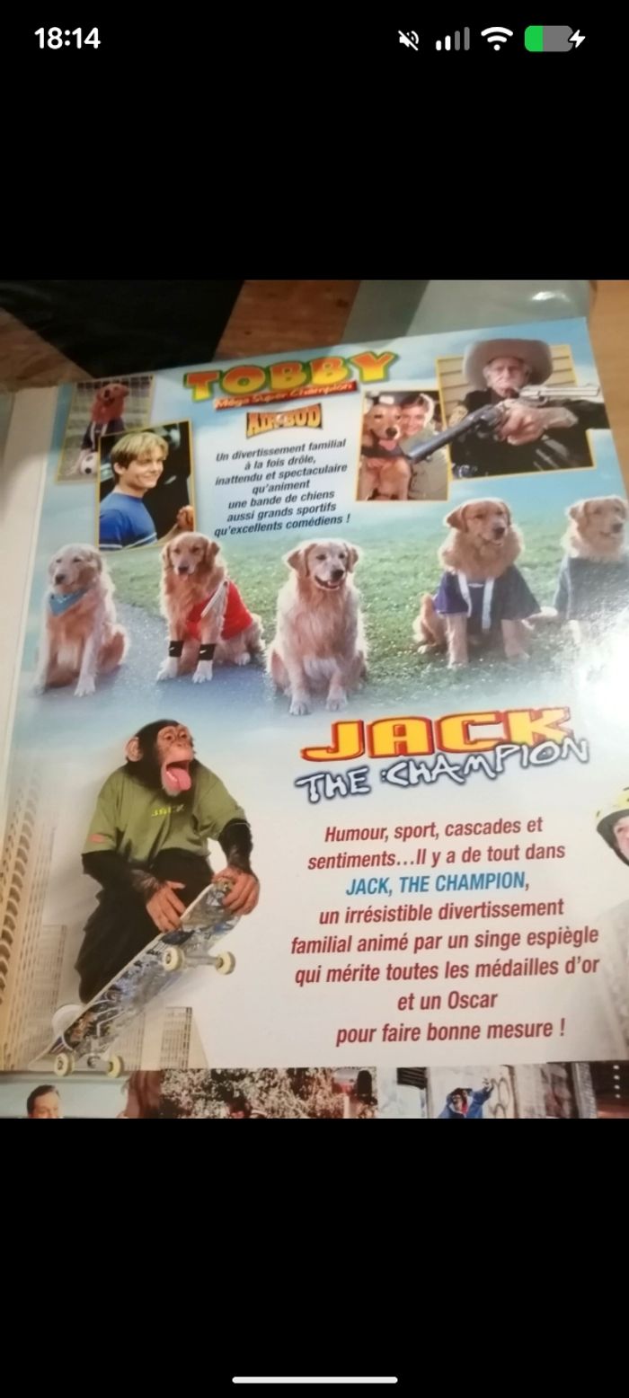 Lot de 2 DVD Jack et Tobby - photo numéro 4
