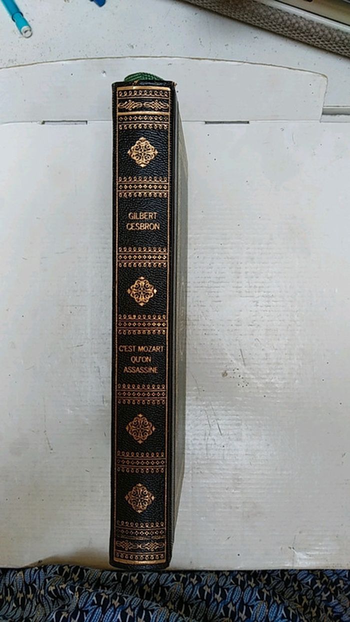 C'est Mozart qu'on assassine - photo numéro 2