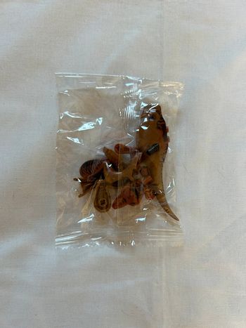 Dinosaure à construire