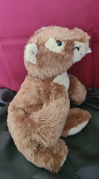 doudou marmotte PACO diffusion sart