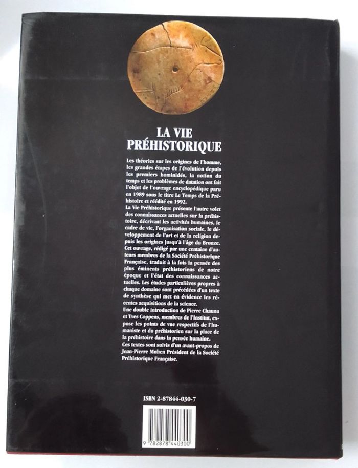 La vie préhistorique 🫧 - photo numéro 2