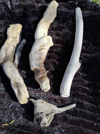 Quatuor de jolis bois flottés ,déco nature