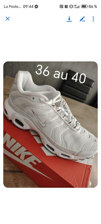Basket
