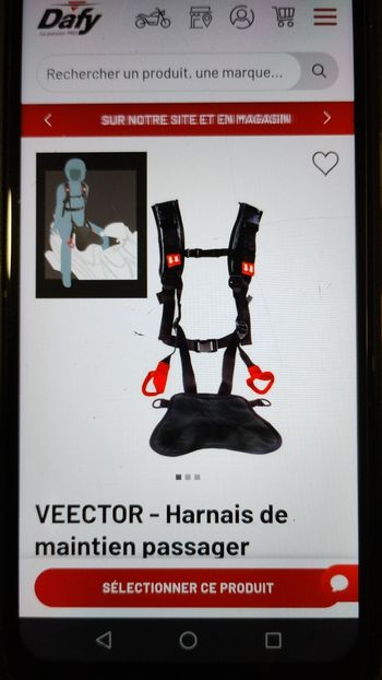 Harnais de maintien sécurité 