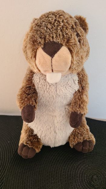 Peluche Marmotte