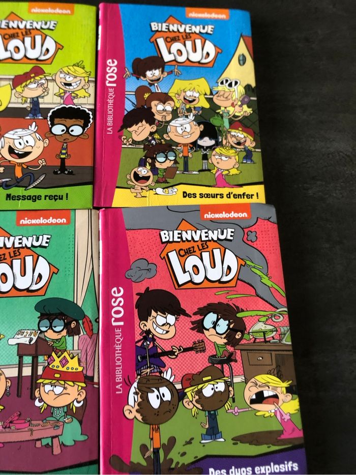 Livre bienvenue chez les loud - photo numéro 5