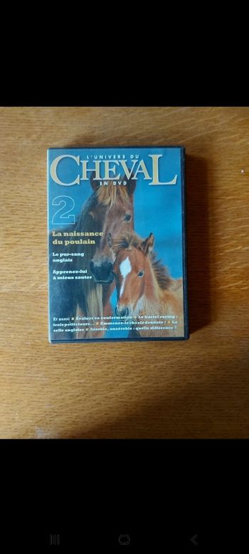 DVD