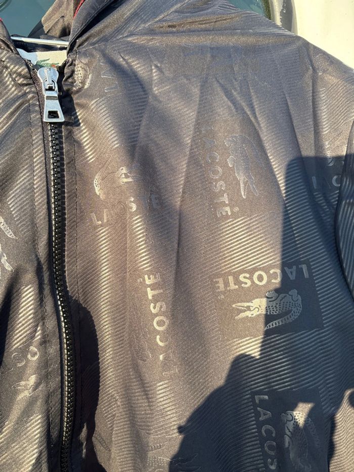 Veste homme Lacoste - photo numéro 3