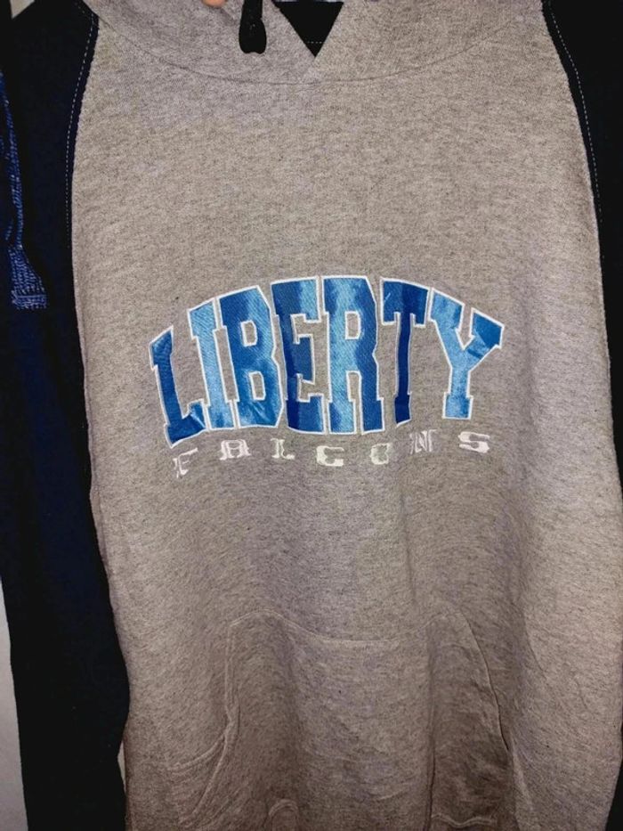 Sweat à capuche mixte Liberty Falcons Taille L - photo numéro 3