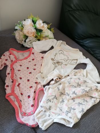 Lot de bodies bébé