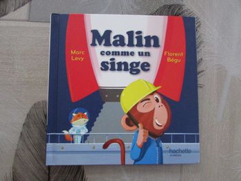 Livre enfant Malin comme un singe