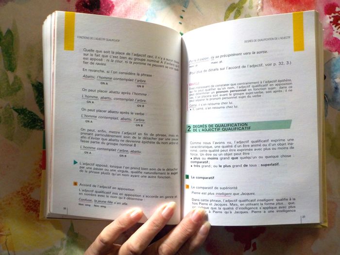BESCHERELLE LA CONJUGAISON L'ORTHOGRAPHE LA GRAMMAIRE - photo numéro 9