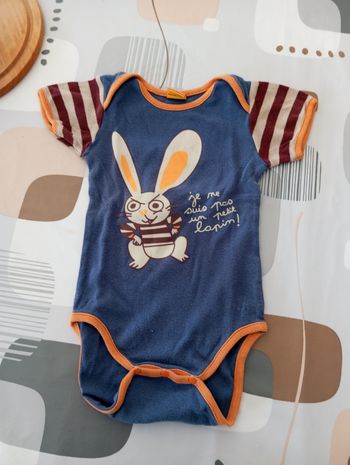 Body lapin