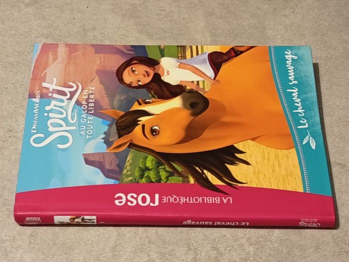 Spirit : le cheval sauvage - photo numéro 2