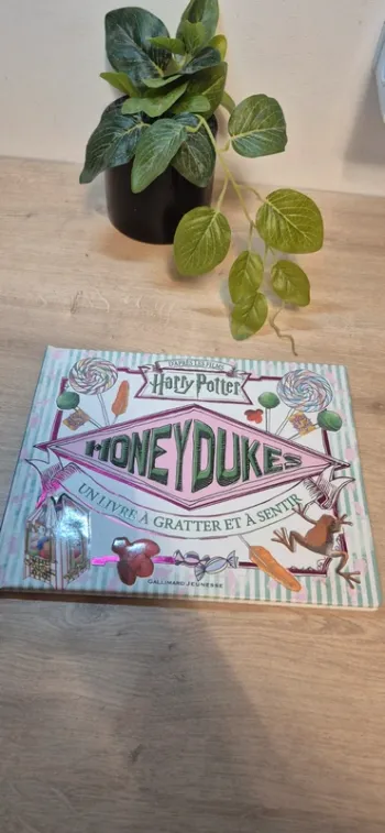 Livre harry potter honeydukes
