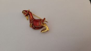 Broche achetée à Sarlat en Dordogne (oie)