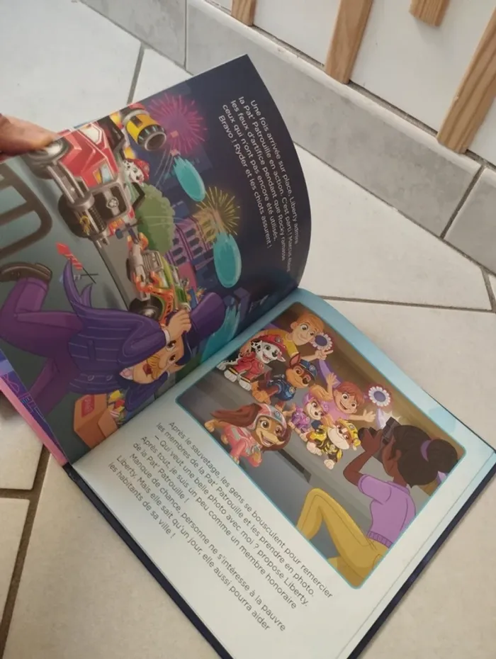 Lot livres par patrouille - photo numéro 20