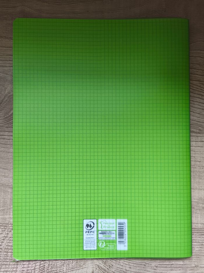 Lot de 3 cahiers petits carreaux - photo numéro 5
