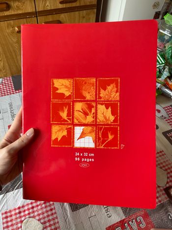 Cahier rouge à grands carreaux 24x32 cm