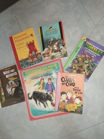 Lot 6 livres enfants