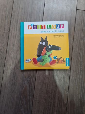 Livre enfant Collection PtitLoup - petit Loup aime sa petite soeur