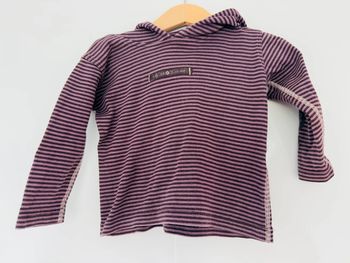 Pull à capuche Captain Tortue violet en 2ans