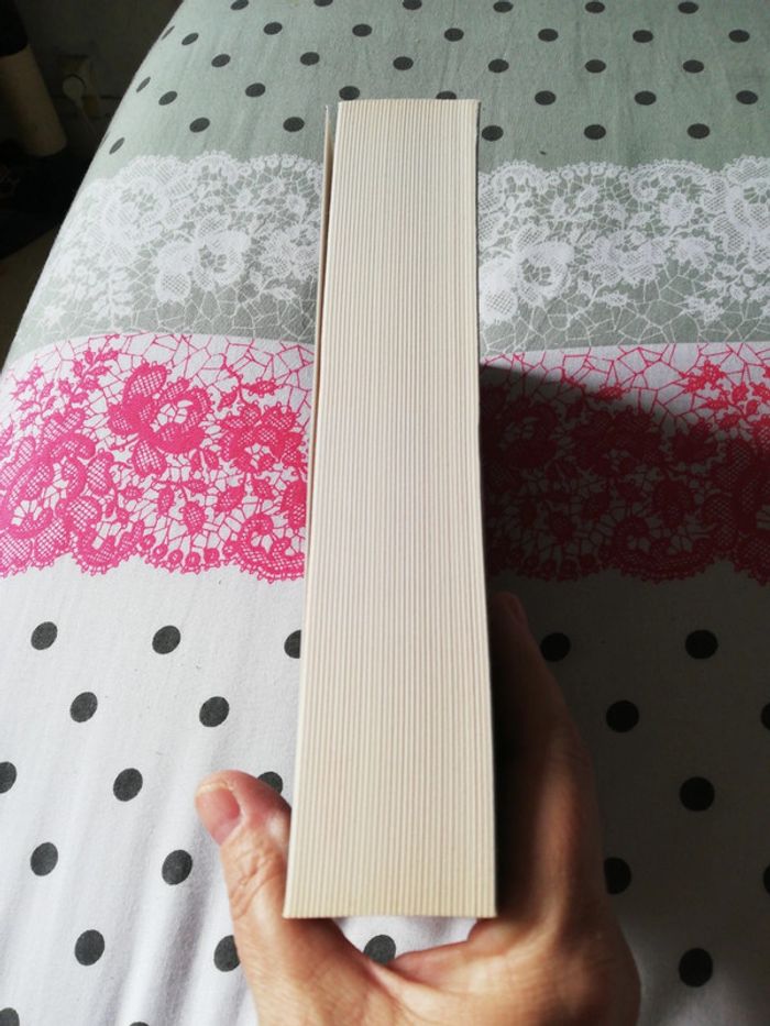 Paradiction - photo numéro 4