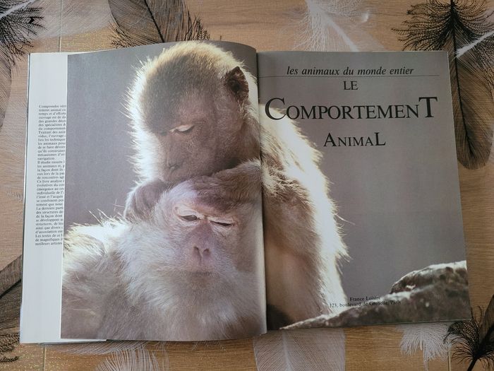 Le comportement animal Neil Curtis - photo numéro 2
