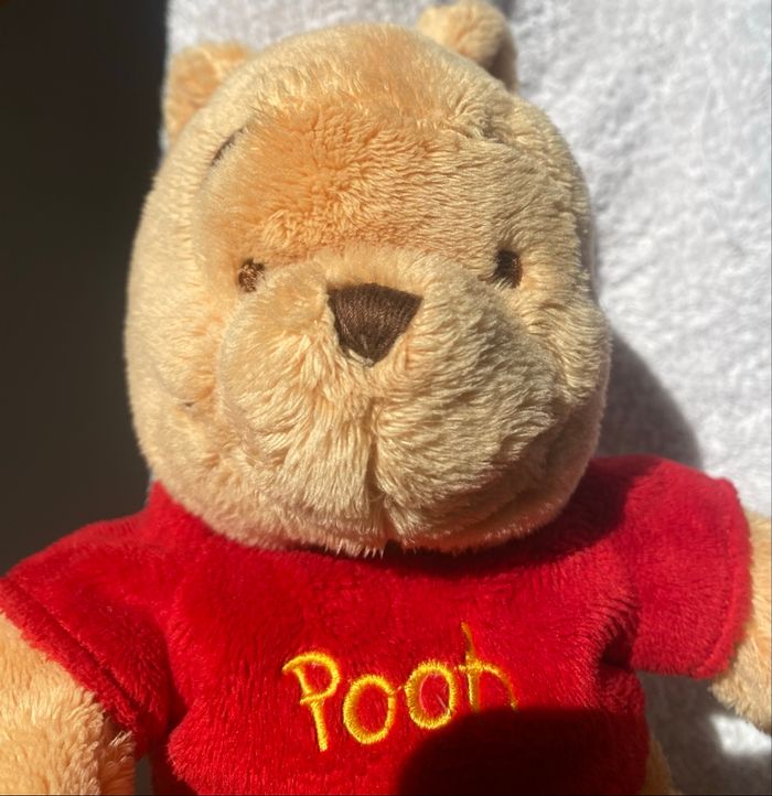 peluche winnie l'ourson disney store exclusive - photo numéro 4