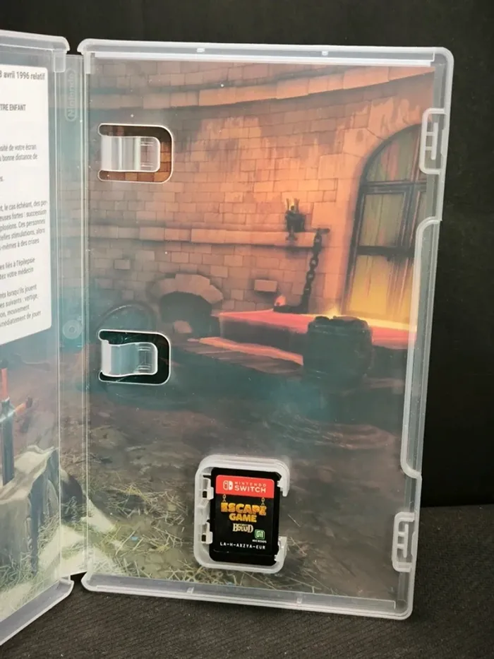 ford boyard nintendo switch - photo numéro 3
