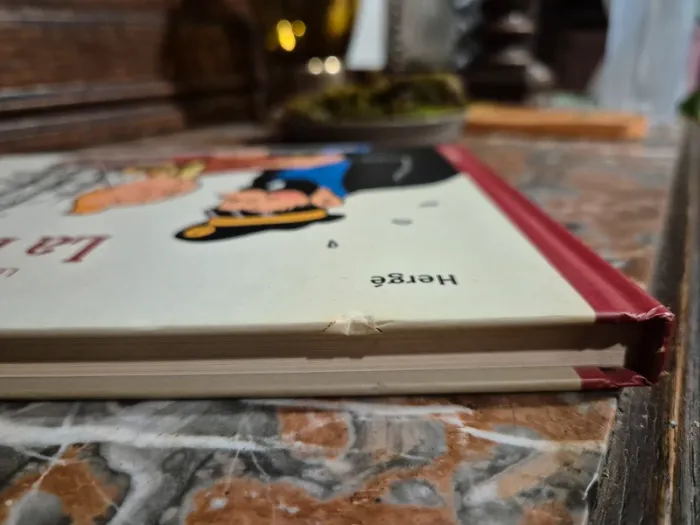 📚 Tintin - Les vrais secrets de la Licorne 📚 - photo numéro 4