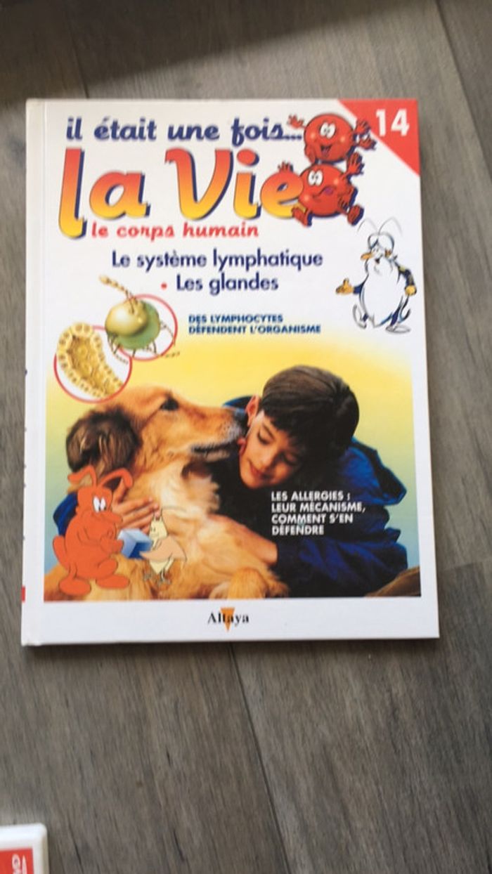 Livre+dvd il était une fois la vie le système lymphatique n.14 - photo numéro 2