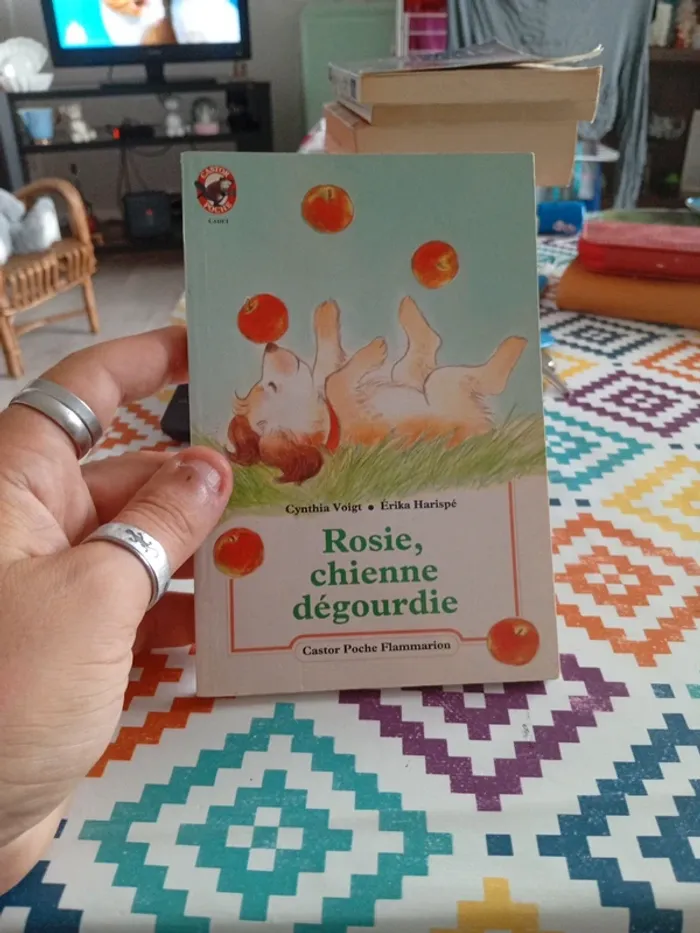 Livre Rosie chienne dégourdie