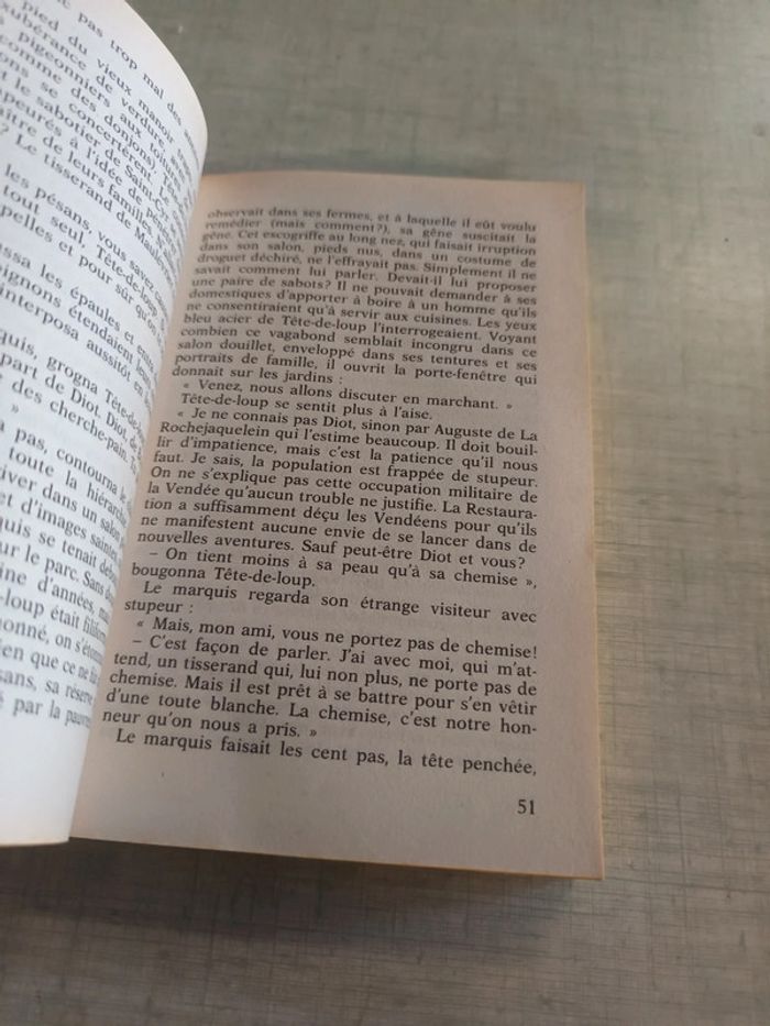Livre la louve de mervent - photo numéro 3