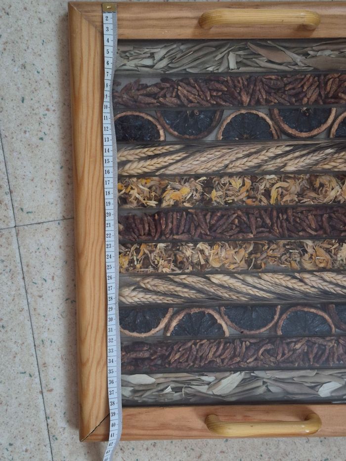 Plateau - photo numéro 5