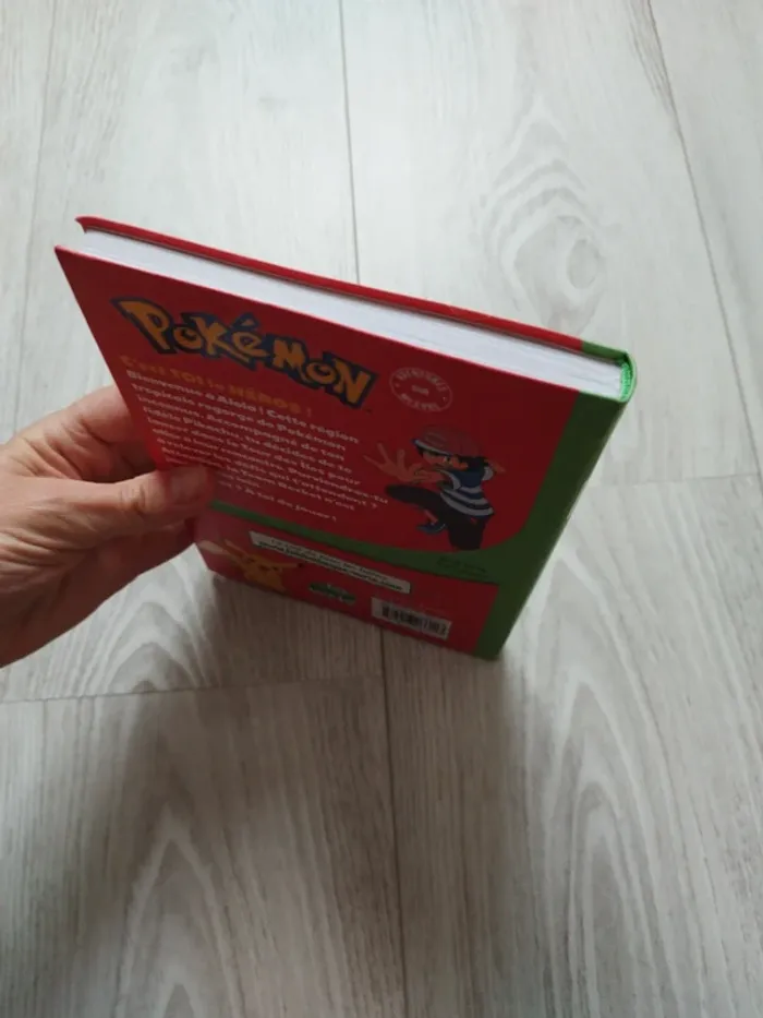 Livre pokémon - photo numéro 4