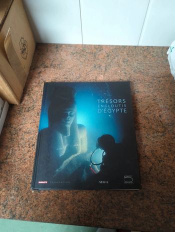 Livre '' les trésors engloutis d'Égypte''