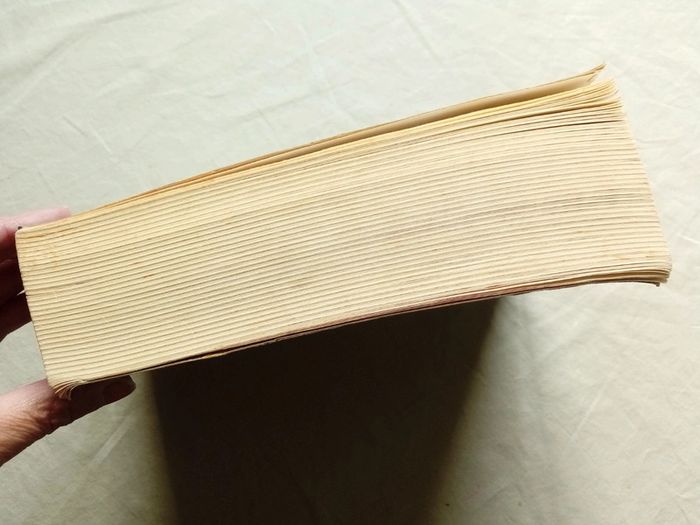 Révélation - Tome 4 Saga Twilight - photo numéro 7