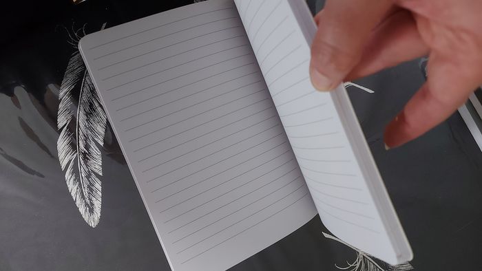 Notebook/journal - photo numéro 4