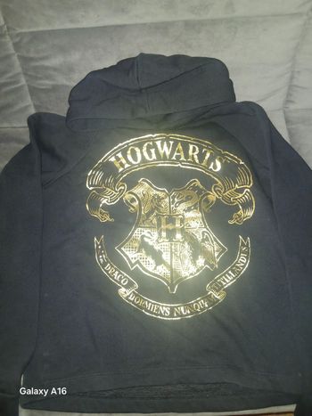 Pull Harry Potter