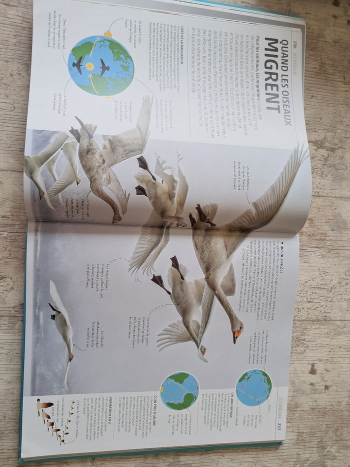 La grande encyclopédie visuelle de la nature - photo numéro 5