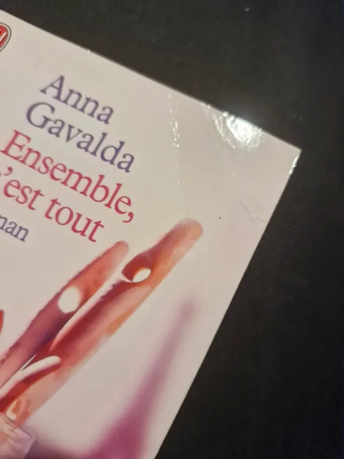 Ensemble, C'Est Tout - Anna Gavalda - photo numéro 6