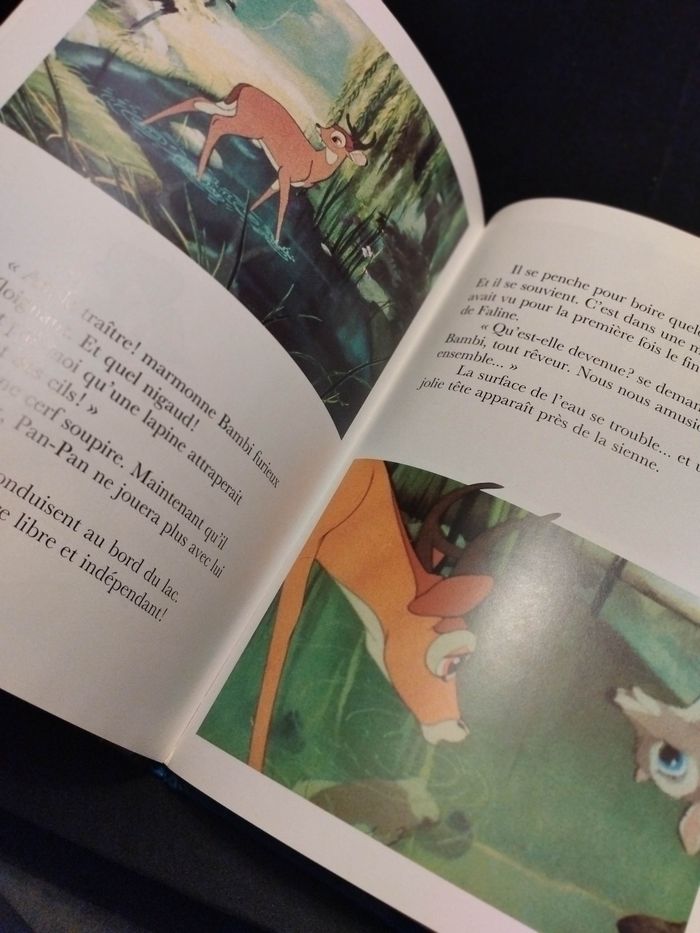 Livre Disney Bambi - photo numéro 4