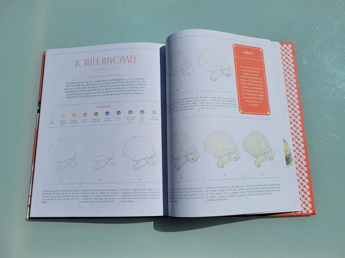 Livre 30 espèces à dessiner en pas-à-pas 🦩 Animaux à sauver 🦒 Beaux-Arts pour la terre (72) - photo numéro 10