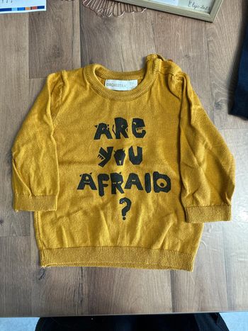 Pull taille 9 mois