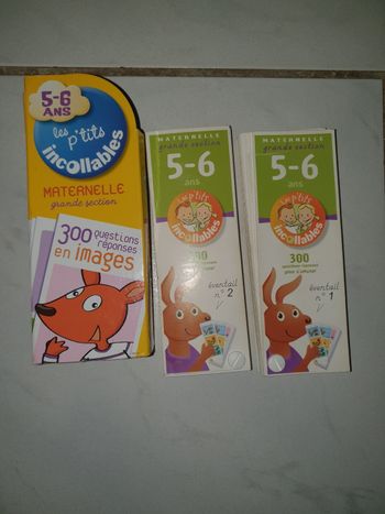 Les p'tits incollables 5-6ans Grande section maternelle