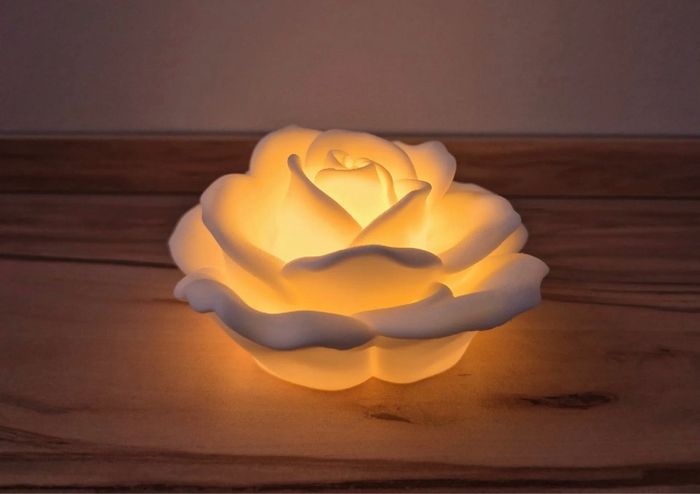 Photophore - photo numéro 3