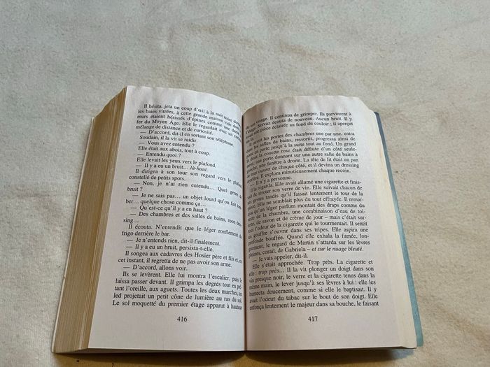 La vallée de Bernard minier - photo numéro 2